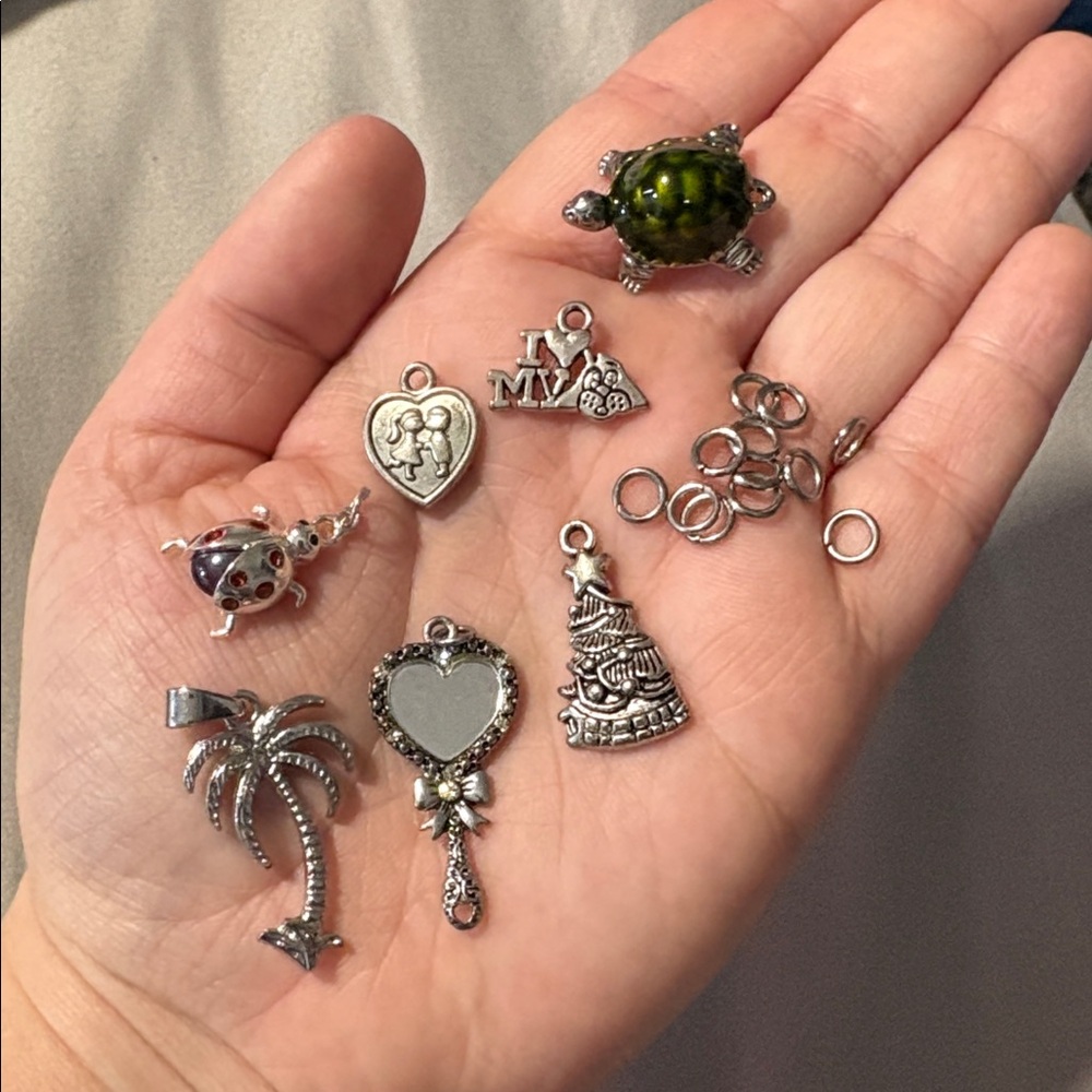 🔴 LAST CHANCE 🔴 No Brand • Assorted Charms